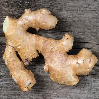 Ginger (38)-2827956-64446.webp